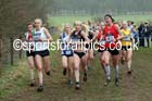 Senior womens Inter Counties Cross Country, Prestwold Hall, Loughborough. Photo: David T. Hewitson/Sports for All Pics